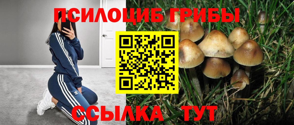 Галлюциногенные грибы MAGIC MUSHROOMS Еманжелинск